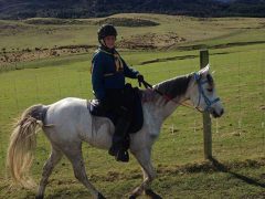 Aurora horses first and second at first ride of the season